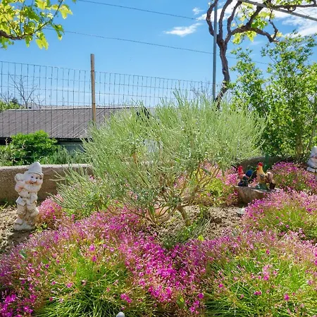 Bigterrace Apartman